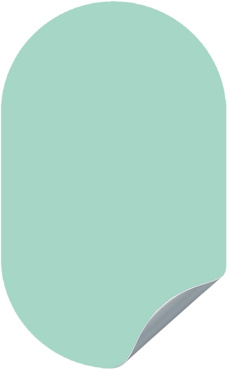 Groovy Magnets Ovaal Magneetsticker – Mint