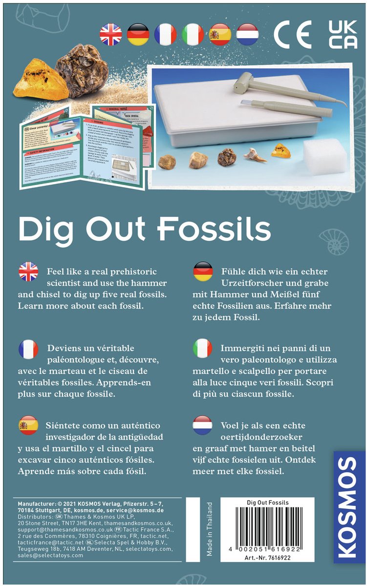 KOSMOS Dig Out Fossils - Opgravingsset - Graaf Echte Fossielen Op - Inclusief Barnsteen, Steenkoraal en Fossiele Schelpen - Archeologie voor Kinderen - STEM Speelgoed - Vanaf 7 Jaar — afbeelding 2