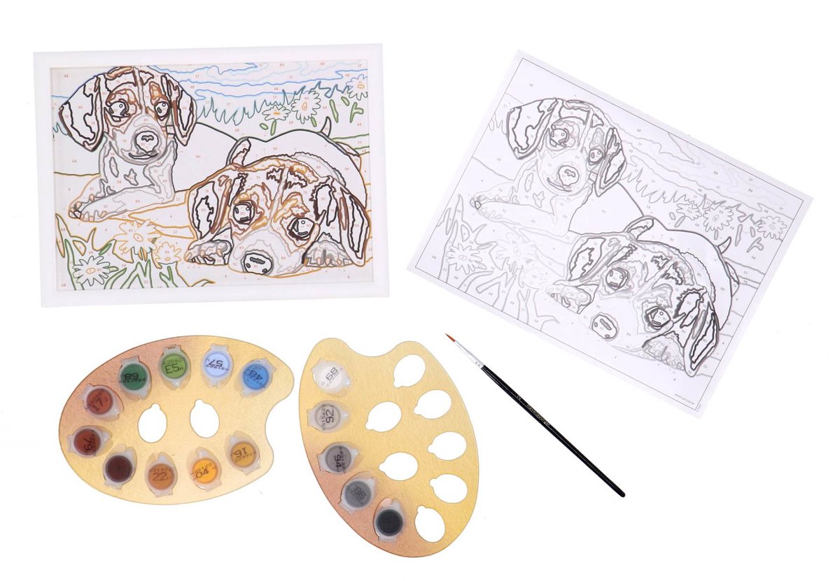 Chiots Beagle | Peinture par numéros enfant