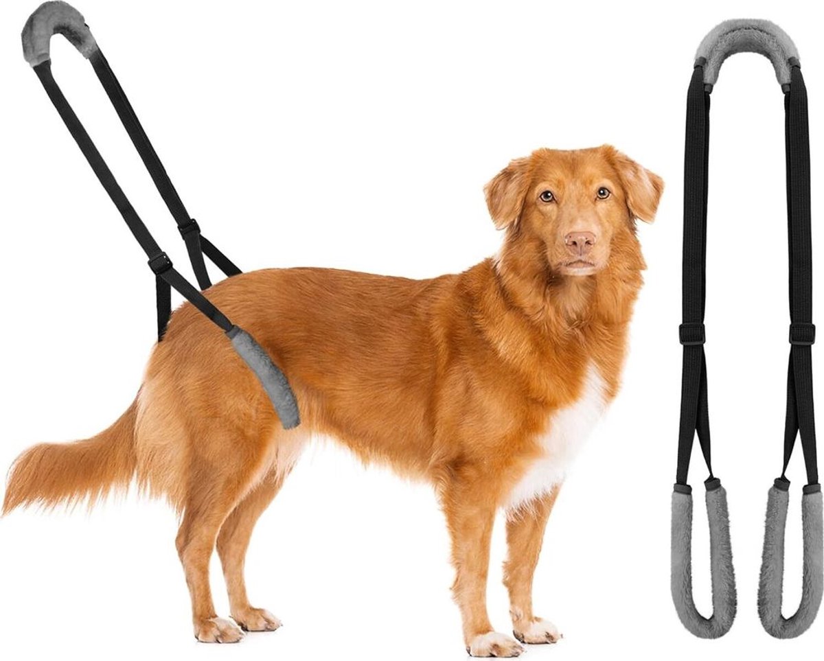 Hulpmiddel voor het lopen met de achterpoten van honden, hondentuigje, hondentuigje voor de achterpoten, loophulpmiddel voor zieke/oudere honden, bevordert de mobiliteit van de hond (zwart).