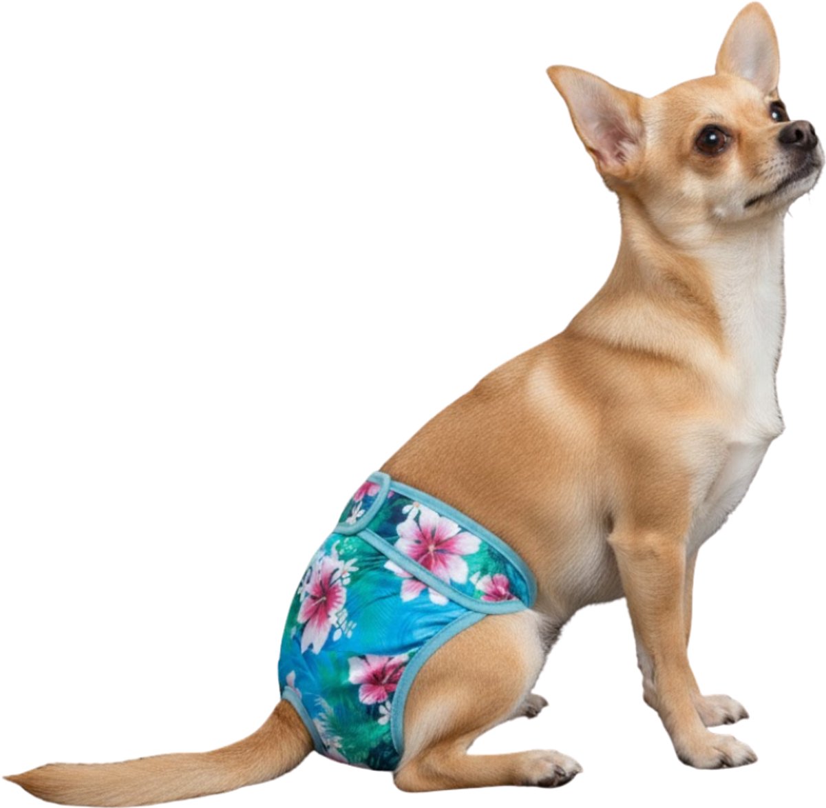Luxe loopsheidbroekje hond - Magnolia - Maat XS - Voor zeer kleine honden - Herbruikbaar