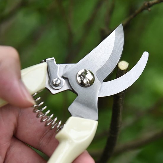 Premium Pruning Shears - Durable Garden Pruner - Roestvrij Lemmet & Ergonomisch Ontwerp - 2 Stuks - Tuin & Bonsai - Zwart van Merkloos	 — afbeelding 2