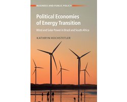 Business and Public Policy- Political Economies of Energy Transition