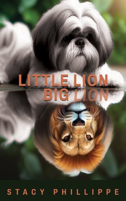 Little Lion Big Lion - cover