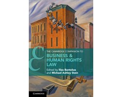 Omslag van Cambridge Companions to Law-The Cambridge Companion to Business and Human Rights Law