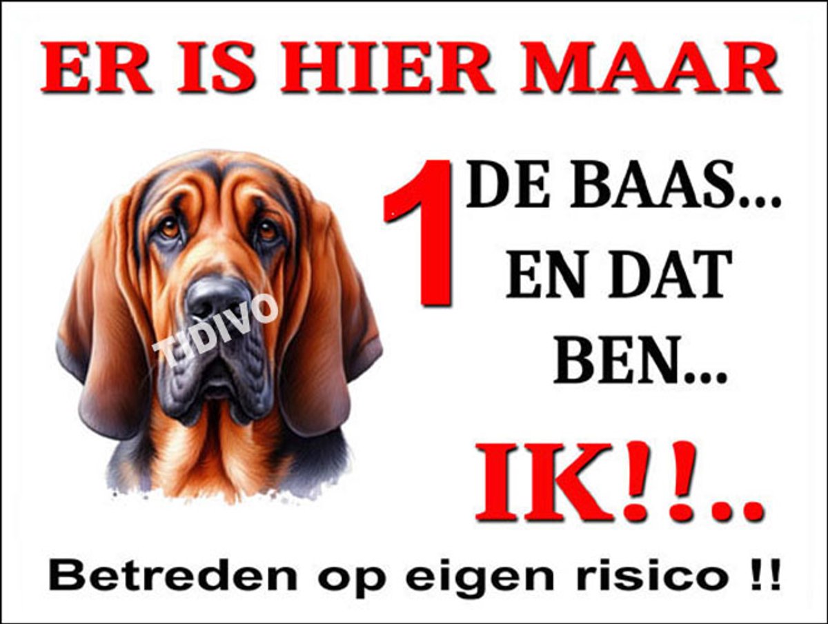Bloedhond 26