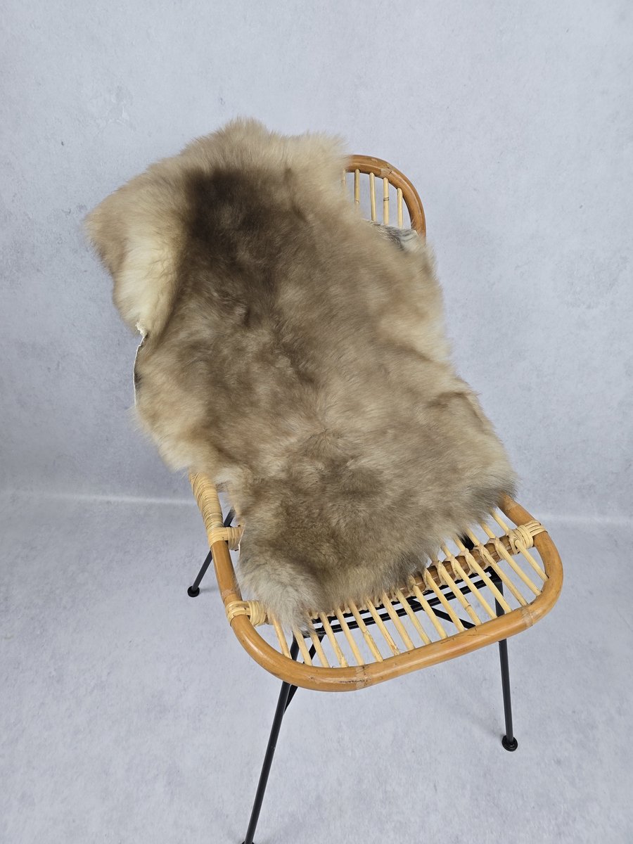 Schapenvacht Albanees – Woondecoratie – Exclusieve collectie – Taupe, Bruin – 100% echt natuurlijke wollen vacht – 100x60 cm