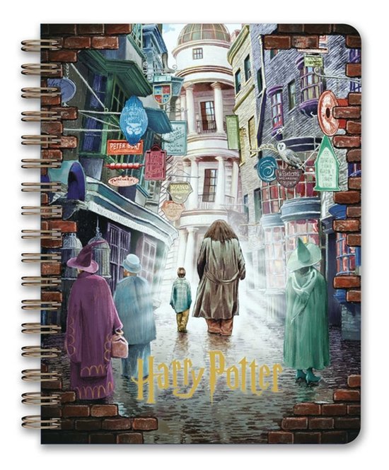 Harry Potter- Harry Potter: Magical Places 12-Month Undated  ... - cover