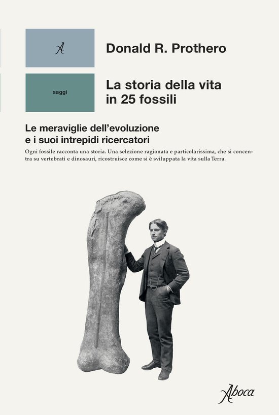 La storia della vita in 25 fossili - cover