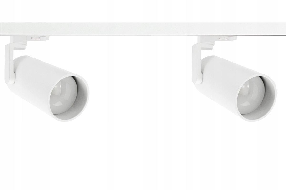3-Fase Railsysteem met 2 Spots E27 Wit - 100cm