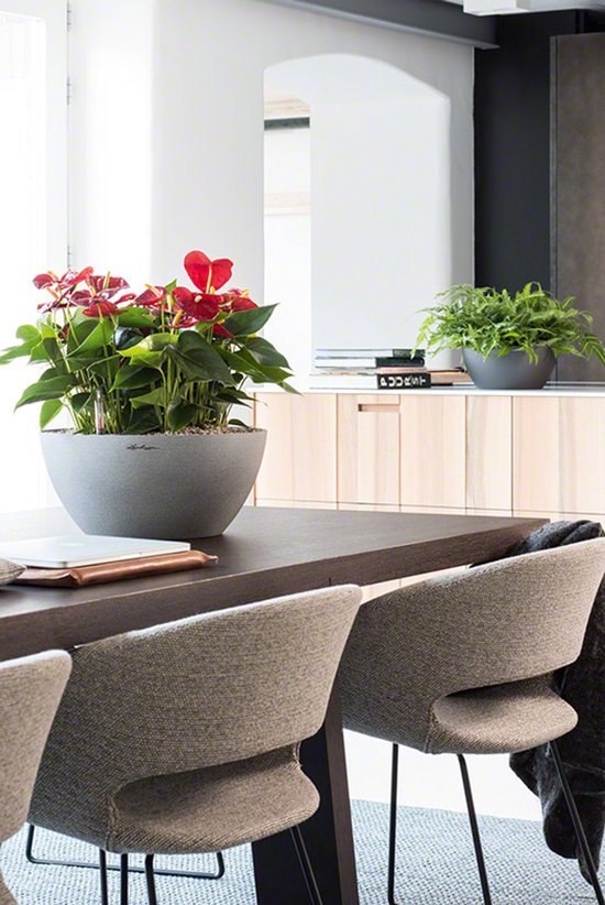 LECHUZA CUBETO Stone 40 - Plantenbak - met uitneembare binnenbak - met bewateringssysteem - ALL-IN-ONE set met LECHUZA-PON - steengrijs