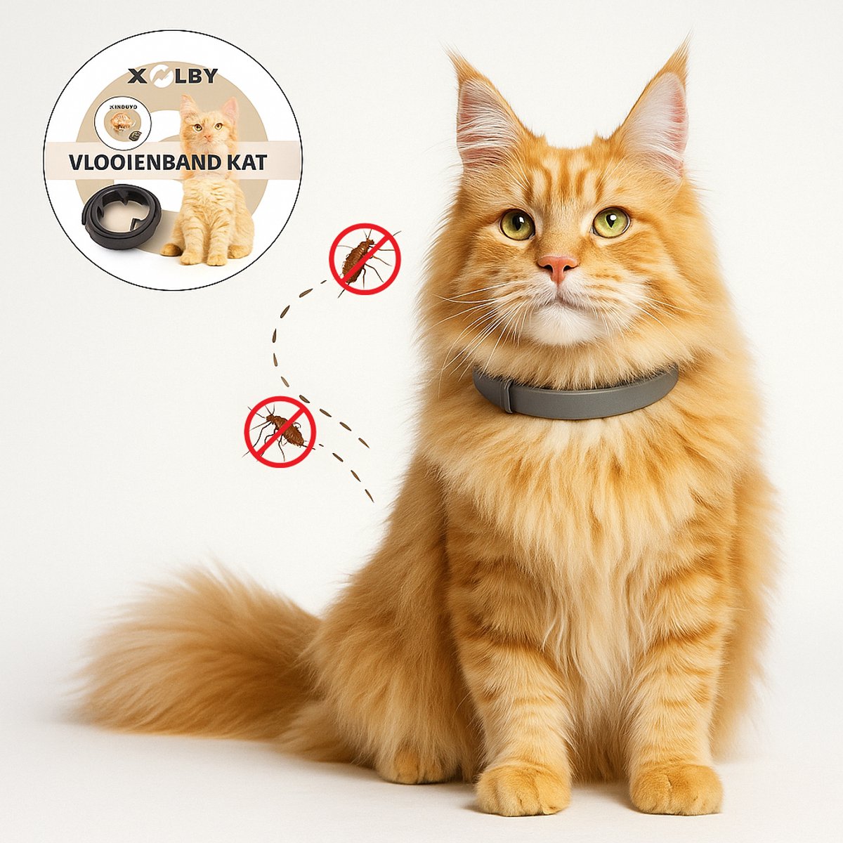 Bol.com Xolby® Vlooienband Kat - Effectief Tegen Vlooien En Teken - Vlooienmiddel - diervriendelijk - mijten- teken - flexibel -... aanbieding