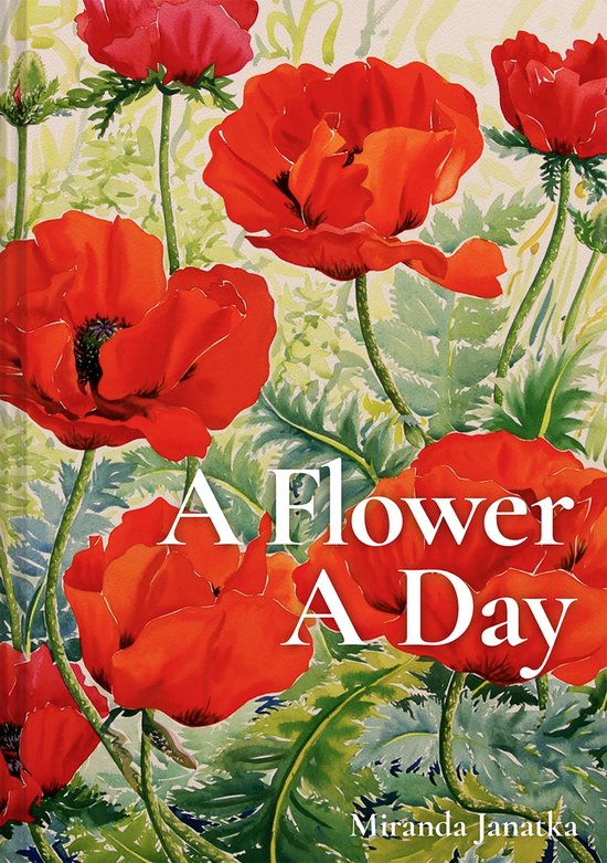 A Day - A Flower A Day - cover