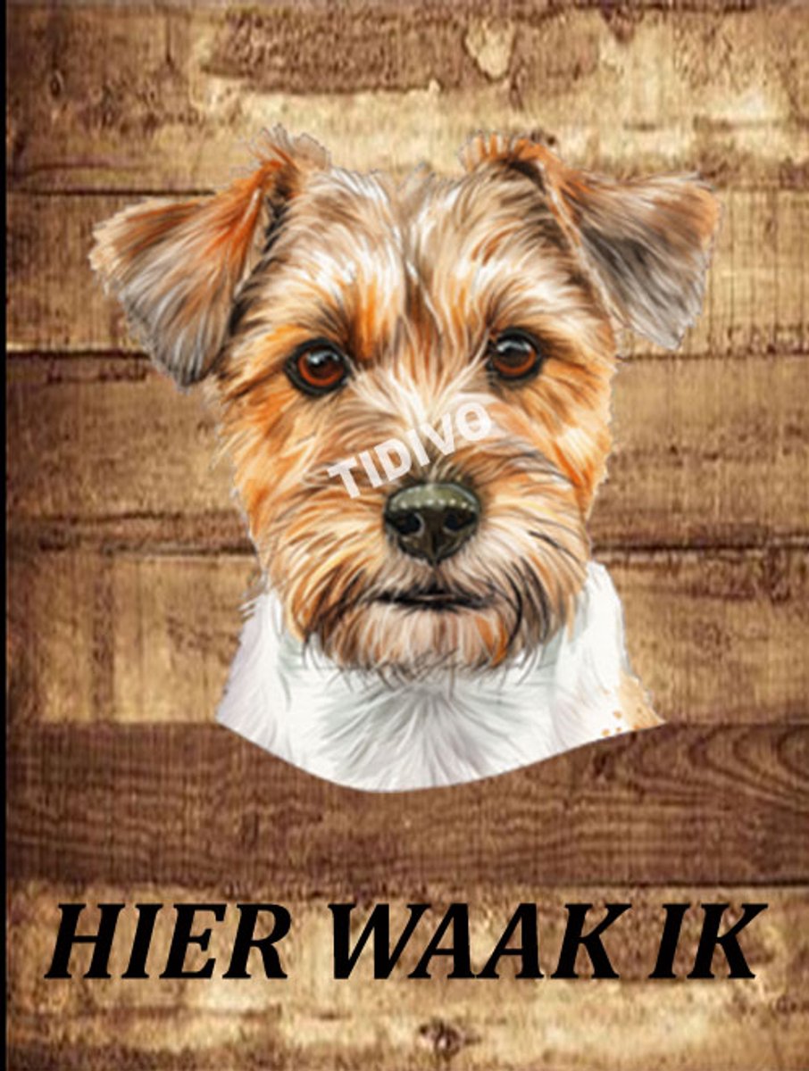 Lucas Terrier 20