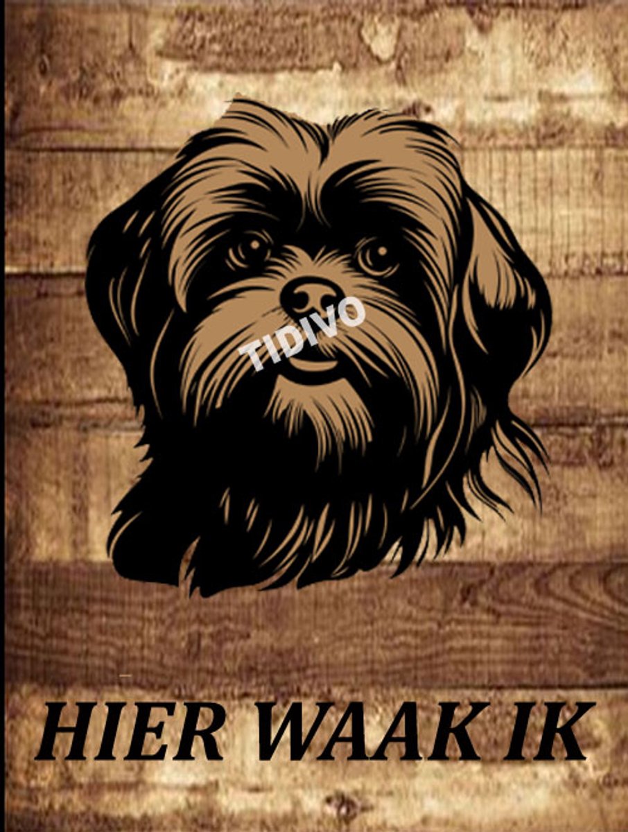 Lhasa Apso 20