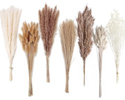 Decoratie van gedroogde lisdodde en riet, 128 takjes ossenstaartgras, korenbloem en riet, grasboeket, geschikt voor bruiloften, bohemian bloemstukken, huisdecoratie en landelijke boerderijfeesten.