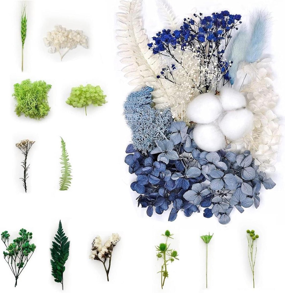 Cosensi - Creatieve decoratieve gedroogde bloemen voor epoxyhars, scrapbooking en meer