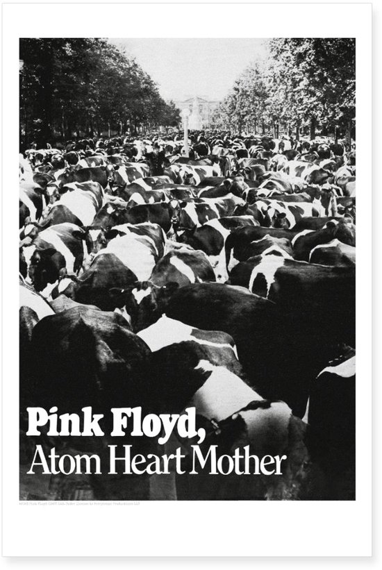 T-Shirt Unisex Pink Floyd. Atom Heart Mother Fade. Taglia M