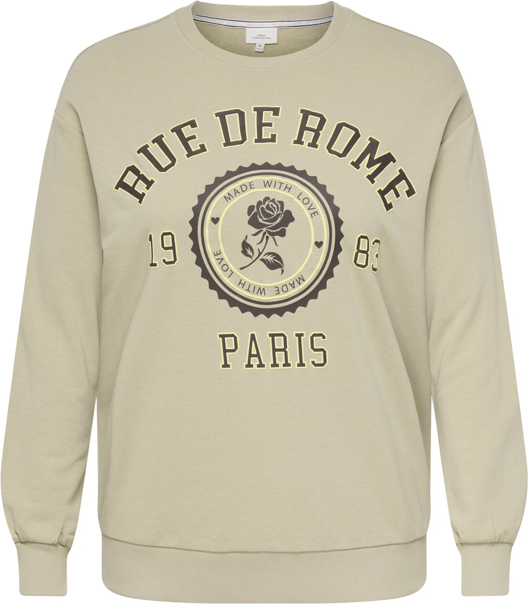 ONLY CARMAKOMA - CARWESLEY L/S O-NECK SWEAT JRS - Meisjes - Sweaters
