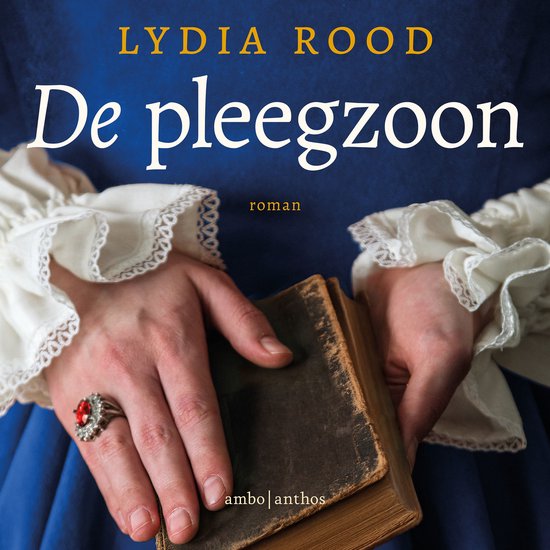 De pleegzoon - cover