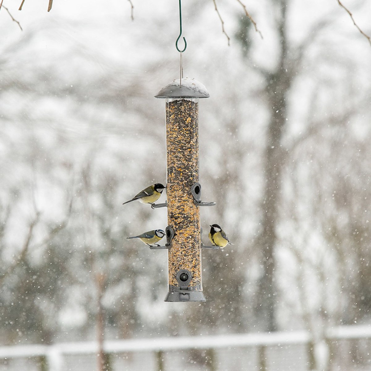 CJ Wildlife Voedersilo voor Tuinvogels - Adventurer - Vogelvoedersilo voor Kleine Vogels - Hangend Vogelvoederhuisje van 55cm - Vogelvoer Silo - Grafietgrijs