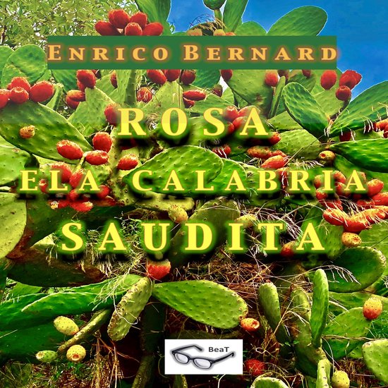 Rosa e la Calabria "Saudita" - cover