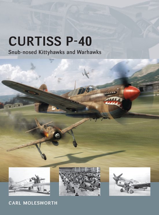 Curtiss P-40 - Snub-Nosed Kittyhawks And Warhawks