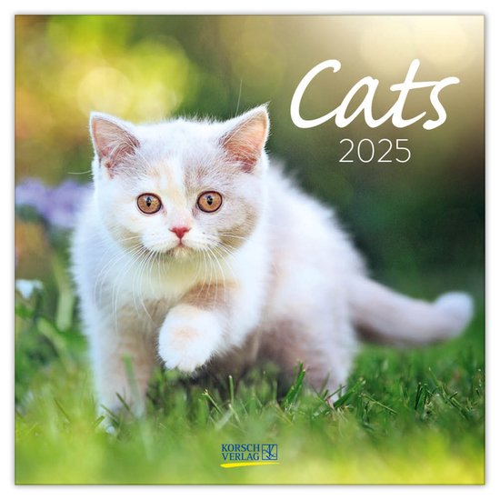 Foto: Katten kalender 2025