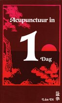 Acupunctuur in een dag
