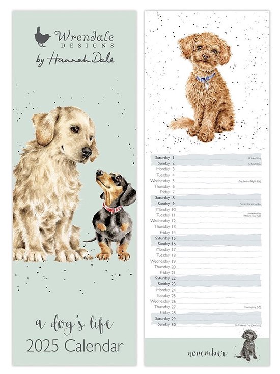 Wrendale Slim Kalender 2025 'A Dog's Life' Dog Slim Calendar 2025