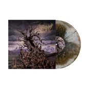 Vulvodynia - Entabeni (LP)