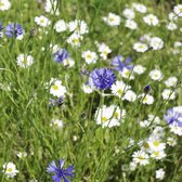 MRS Seeds & Mixtures Boomgaard Bloemmengsel - 1 en meerjarig – inheemse bloemen en kruiden – trekt bestuivende insecten aan – bevordert de biodiversiteit – indirecte natuurlijke plaagbestrijding