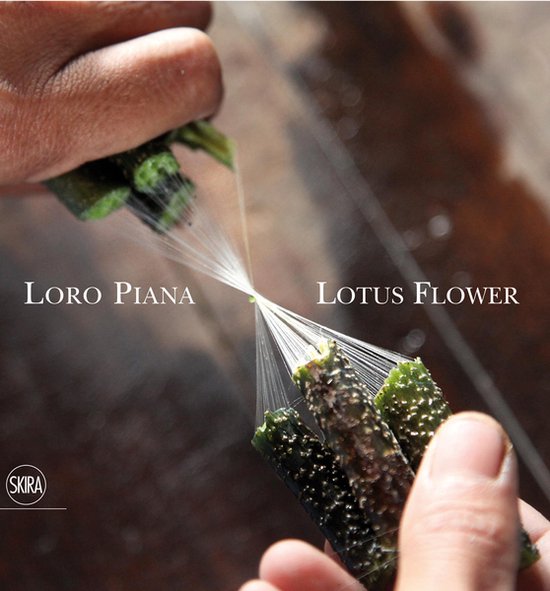 The Lotus Flower - cover
