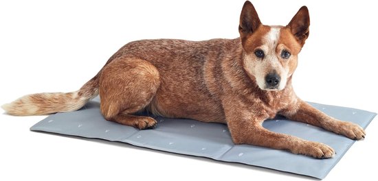 Relaxdays koelmat hond, verkoeling, met gel, koeldeken voor huisdieren, verkoelende mat 50 x 90 cm, blauw Relaxdays koelmat hond, verkoeling, met gel, koeldeken voor huisdieren, verkoelende mat 50 x 90 cm, blauw