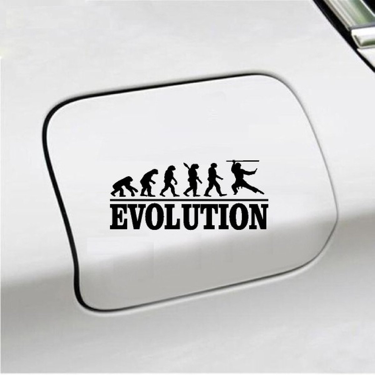 Bumpersticker - Evolution Ninja - 20x9.3 - Zwart