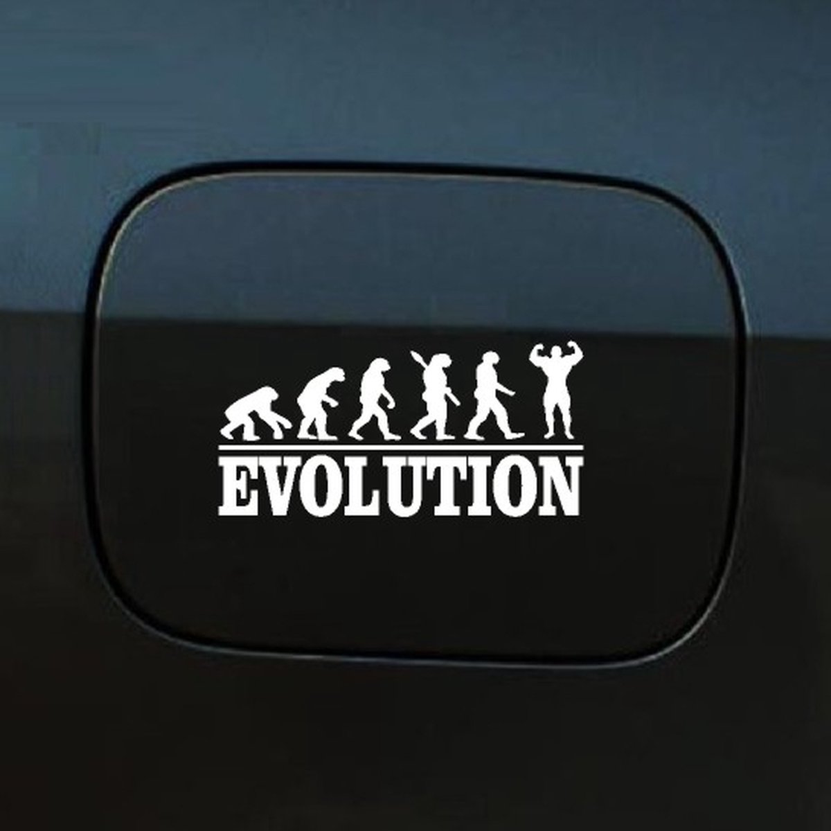 Bumpersticker - Evolution Bodybuilding- 20x9.3 - Wit
