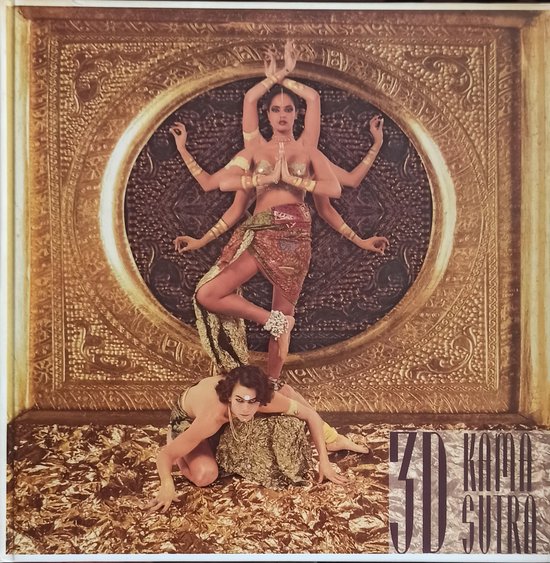 9789090079288 - 3d kamasutra