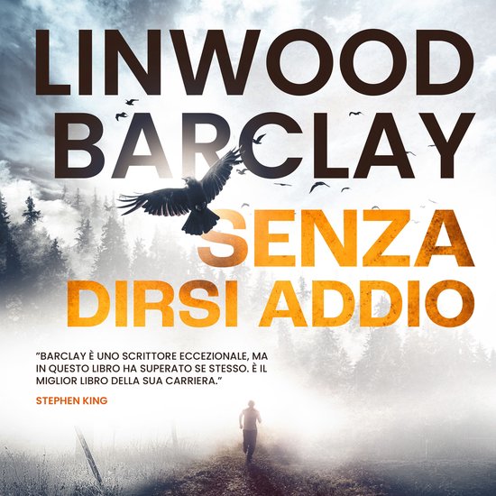 Senza dirsi addio - cover