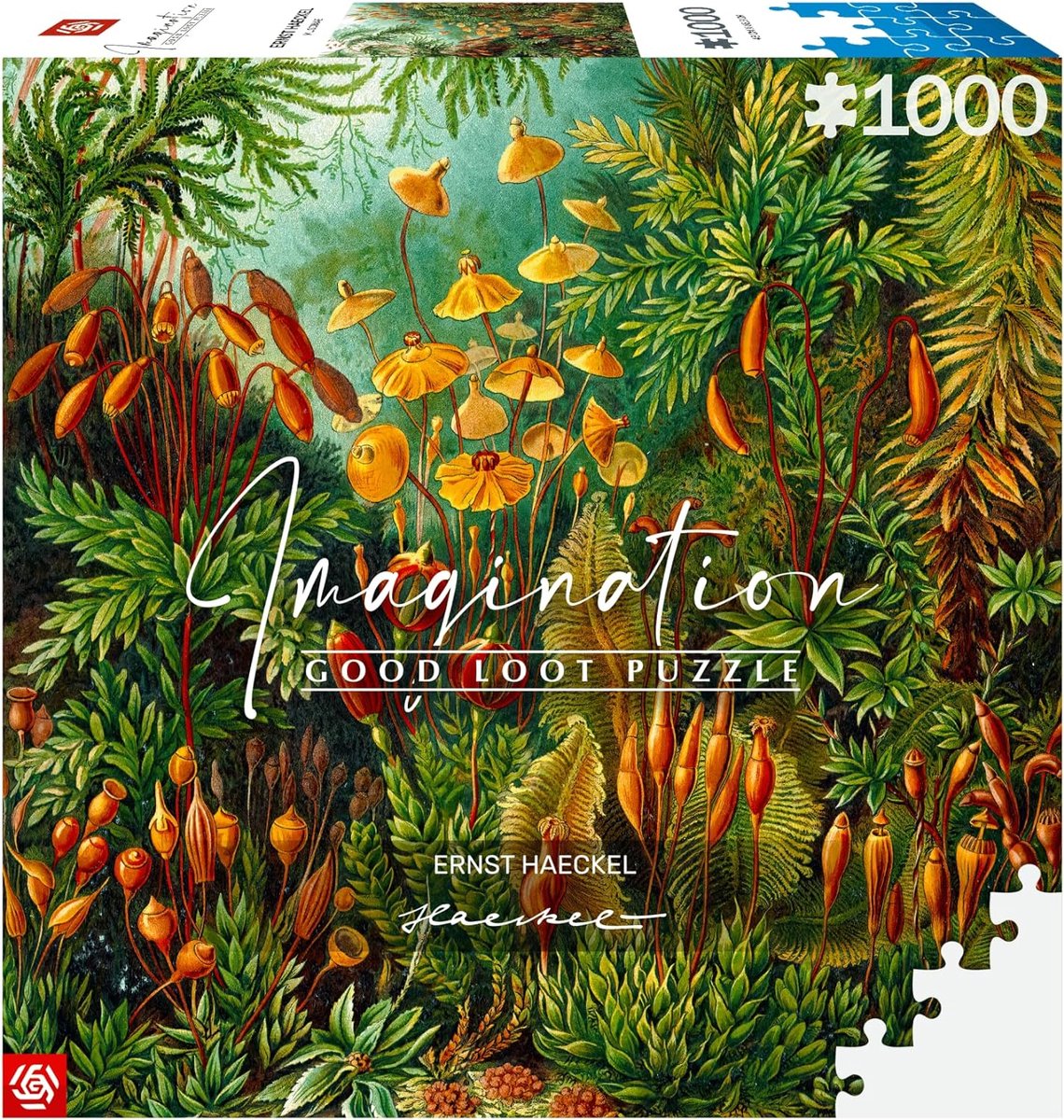 Ernst Haeckel - Muscinae Puzzel - Puzzel 1000 stukjes volwassenen - Natuur Thema