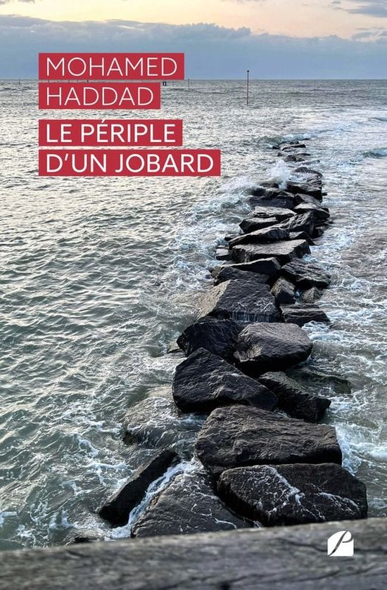 Roman - Le périple d'un jobard