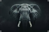 Olifant poster - Dieren posters - Tuinposters Slagtanden - Wanddecoratie buiten - Tuinaccesoires voor aan de muur - Tuin decoratie voor buiten tuinposter 105x70 cm