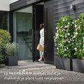 Een vrouw in een lichte jurk met mand loopt naar een open zwarte deur, geflankeerd door bloeiende planten in zwarte bakken.