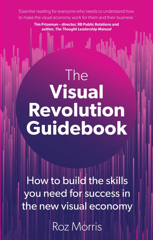 The Visual Revolution Guidebook - cover