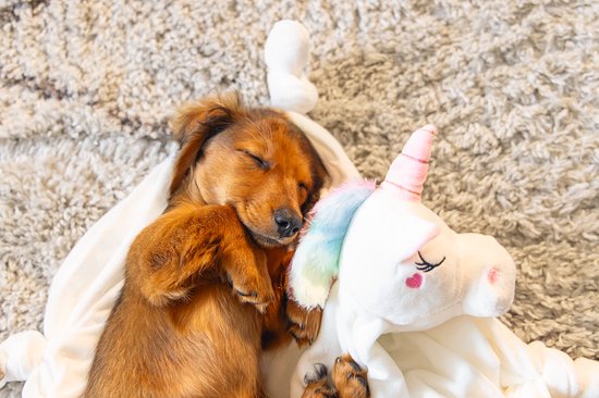Beeztees Puppy Cuddle Cloth Unicorn - Jouets pour chien - Peluche - Wit - 33x25x14 cm