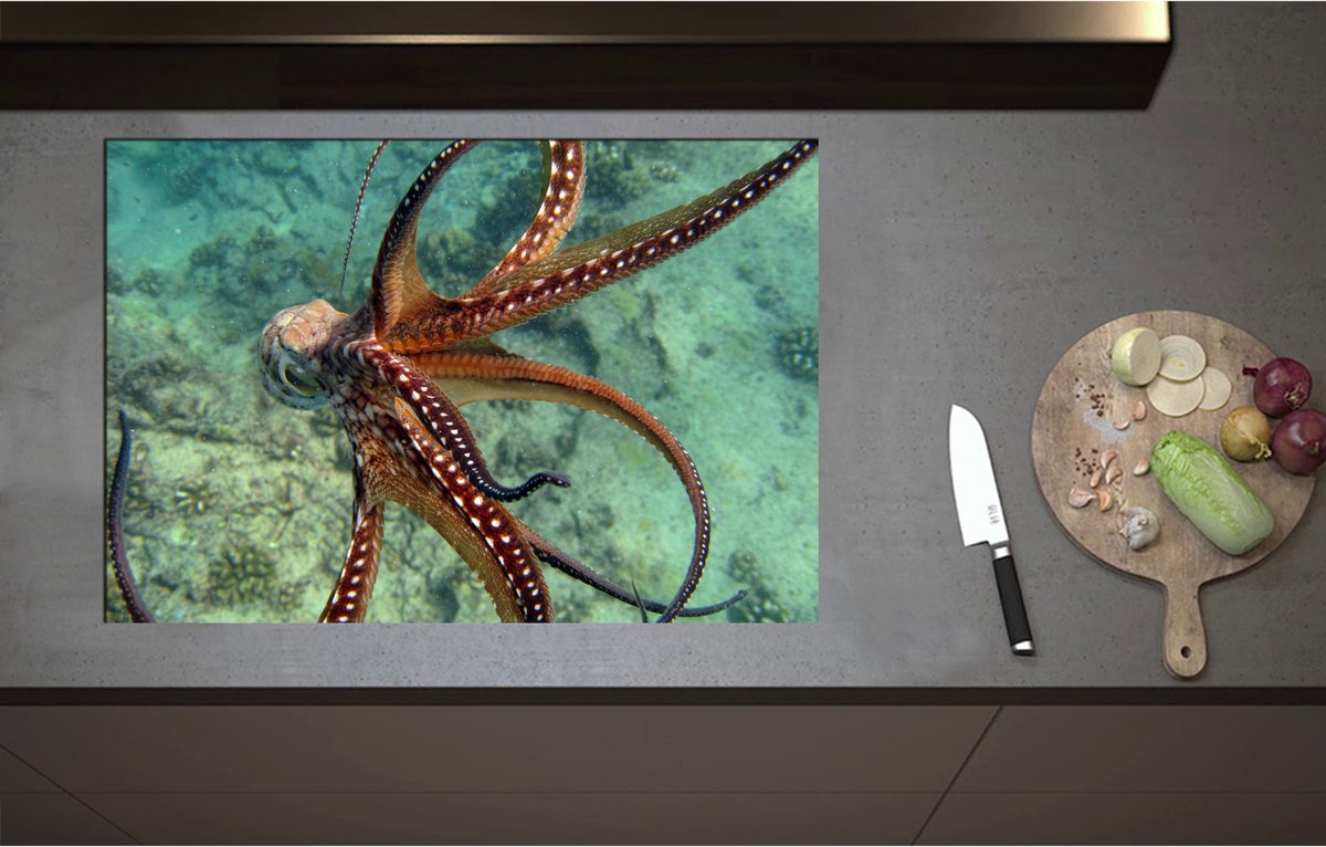 Inductieplaat Beschermer - Bruine octopus zwemt door de zee heen - 80x55 cm - 2 mm Dik - Inductie Beschermer - Bescherming Inductiekookplaat - Kookplaat Beschermer van Wit Vinyl