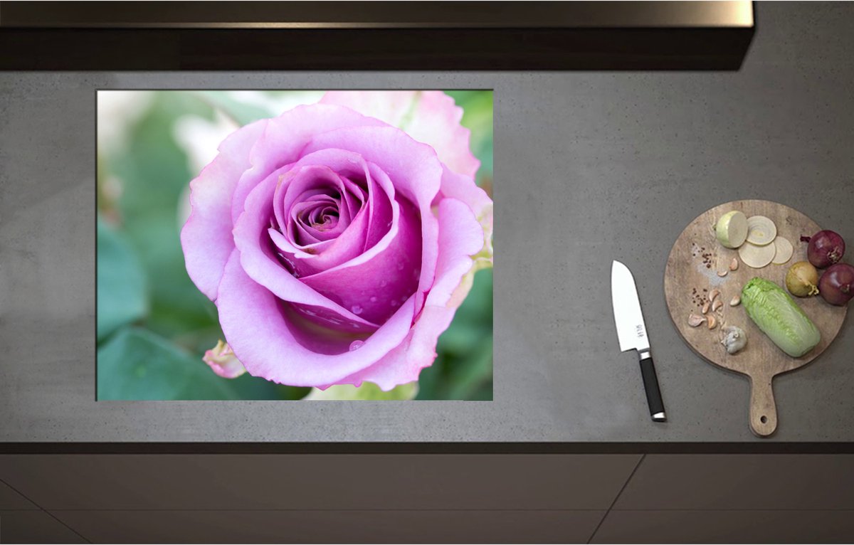 Inductieplaat Beschermer - Close Up van Mooi Bloeiende Paarse Roos - Bloemen - 70x55 cm - 2 mm Dik - Inductie Beschermer - Bescherming Inductiekookplaat - Kookplaat Beschermer van Wit Vinyl