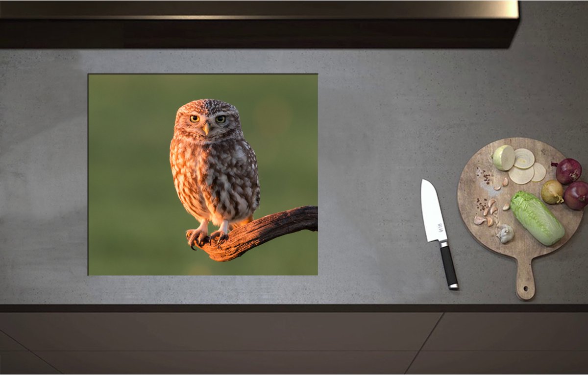 Inductieplaat Beschermer - Bruine Steenuil Zittend op Smalle Tak - 59x52 cm - 2 mm Dik - Inductie Beschermer - Bescherming Inductiekookplaat - Kookplaat Beschermer van Zwart Vinyl