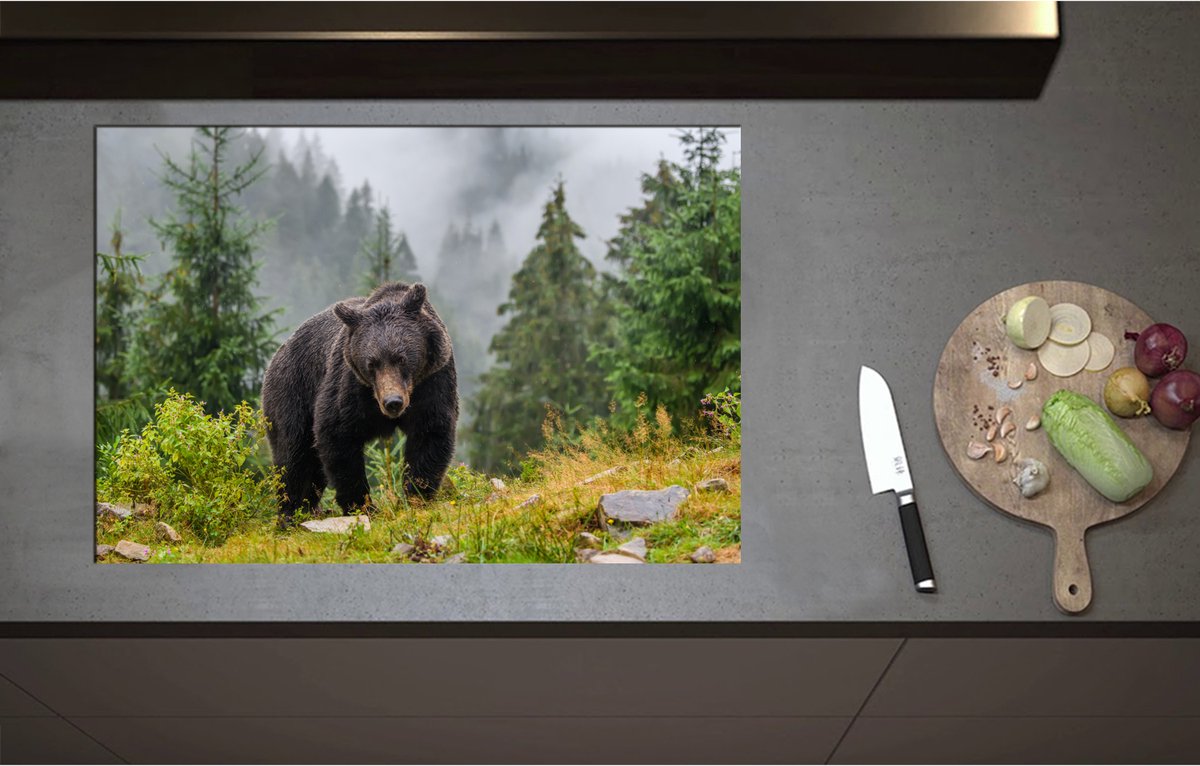 Inductieplaat Beschermer - Bruine beer in bos met grote bomen en bergen - 80x55 cm - 2 mm Dik - Inductie Beschermer - Bescherming Inductiekookplaat - Kookplaat Beschermer van Zwart Vinyl