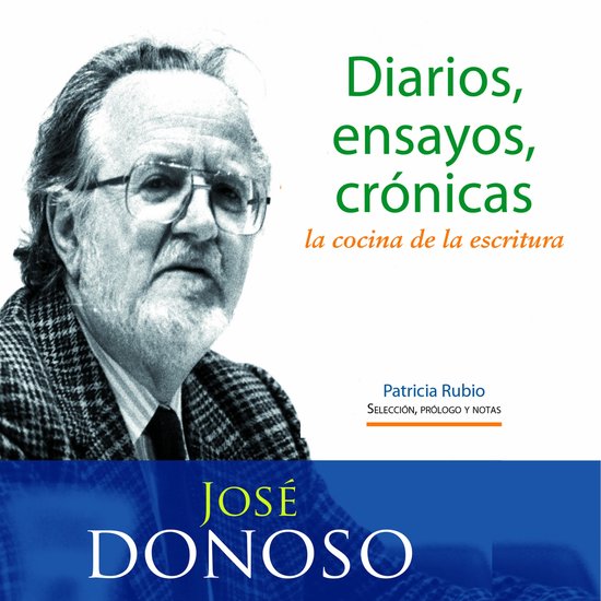 Diarios, ensayos, crónicas: la cocina de la escritura - cover