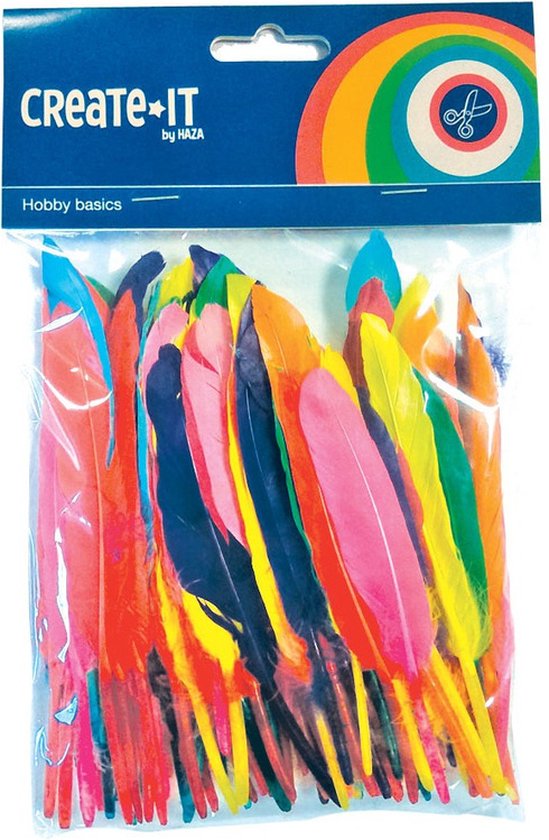 100x Plumes colorées
